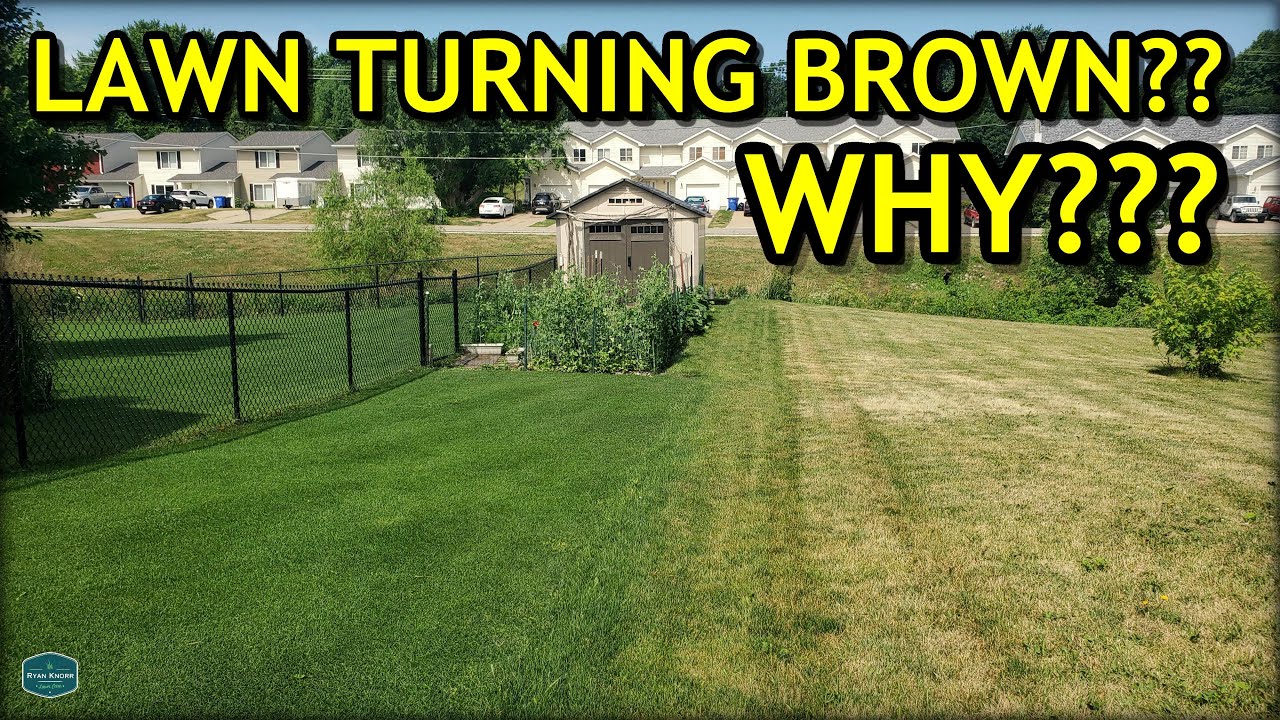 Here's WHY Your Lawn Might Be Turning BROWN...