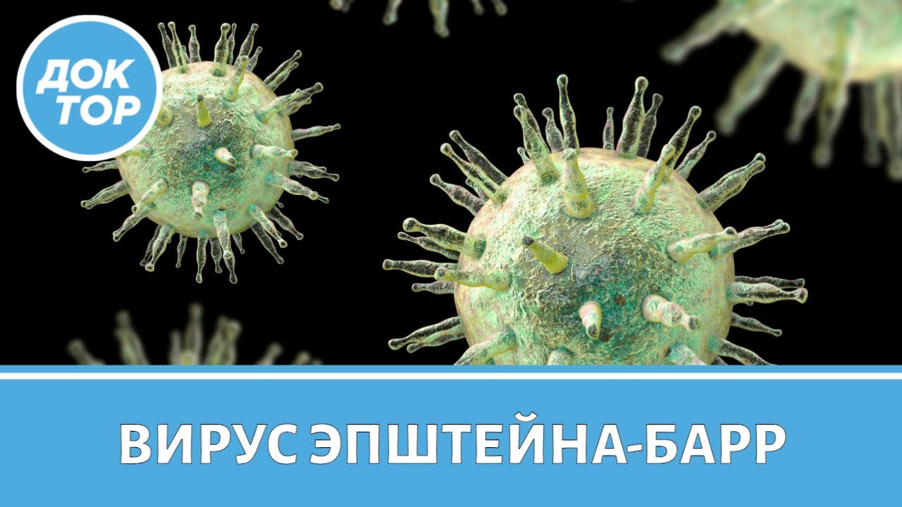 Врач–онколог рассказал про вирус Эпштейна-Барр