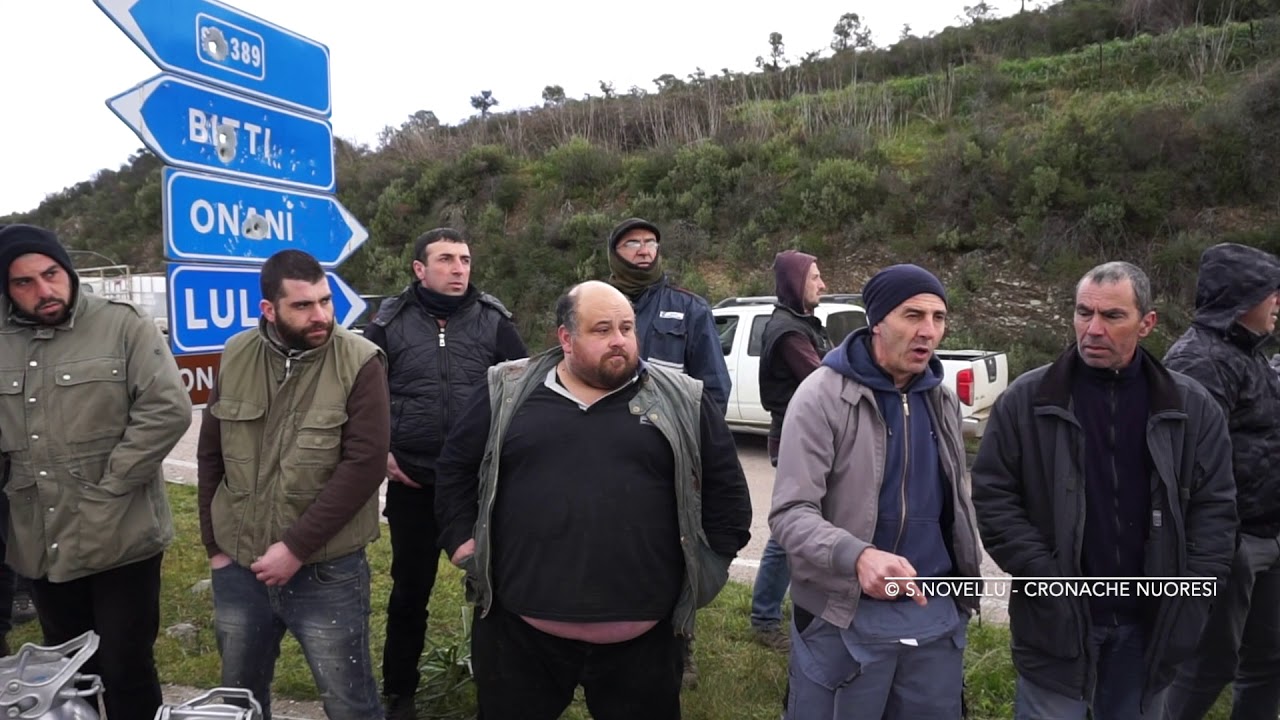 Lula. La protesta dei pastori contro gli industriali caseari