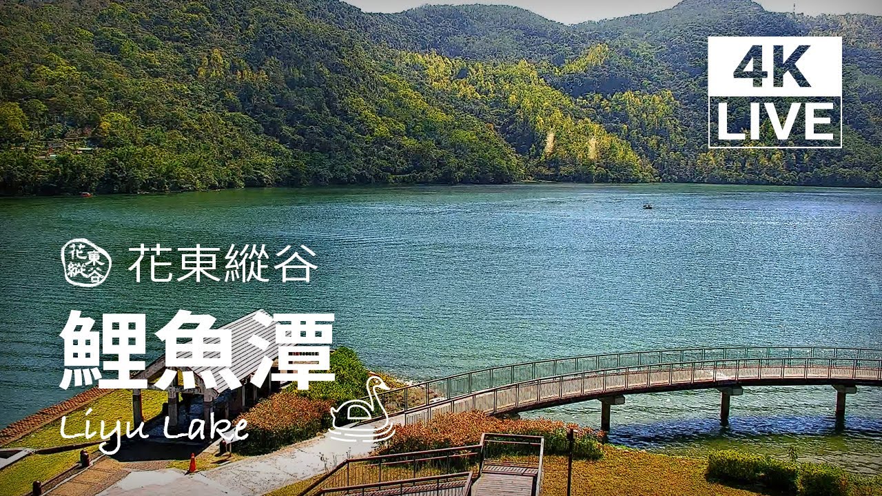 【4K Live】鯉魚潭-花東縱谷即時影像｜Hualien Liyu Lake｜4K Live Camera｜Lofi Music/Study/Relax