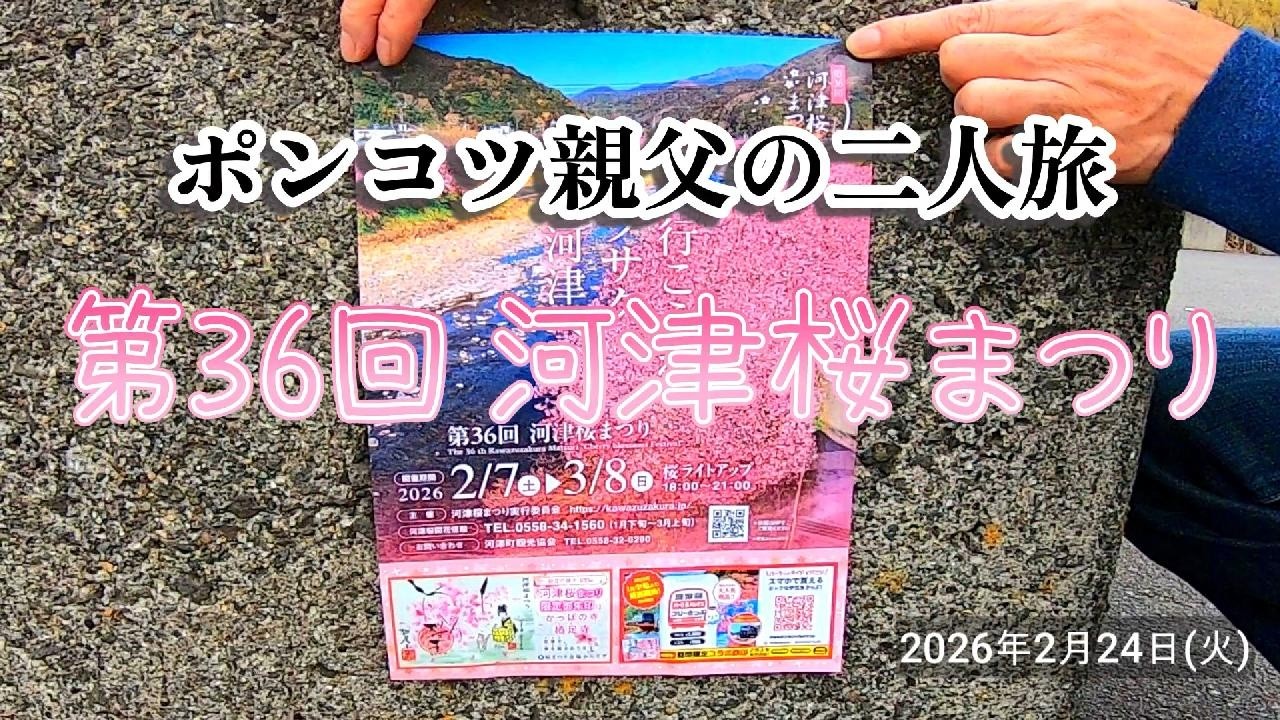 第３６回 河津桜まつり