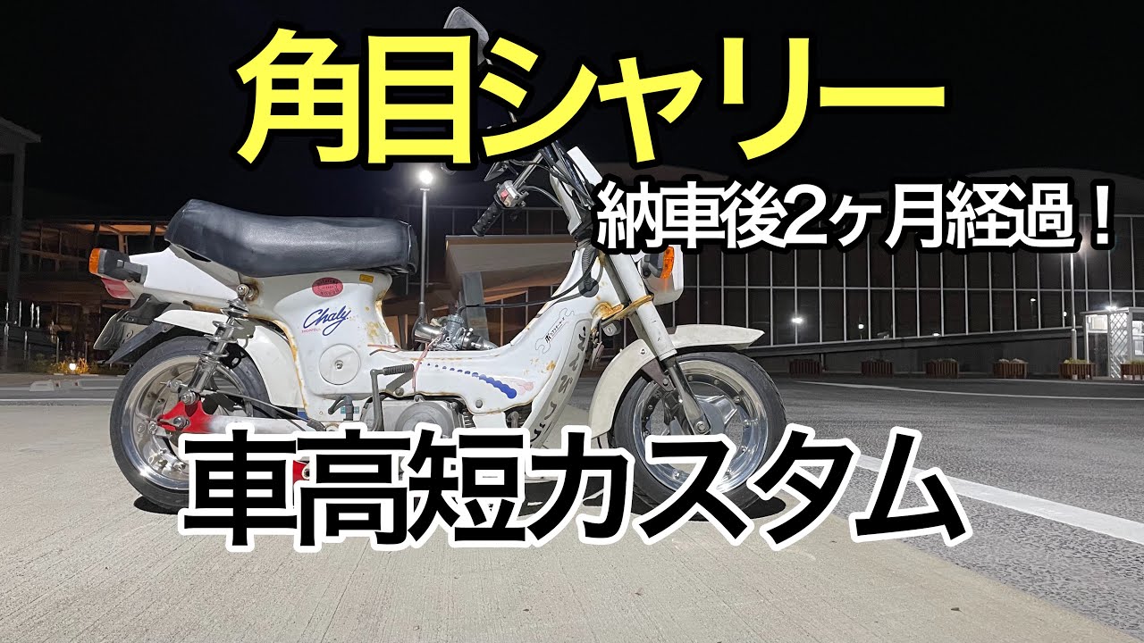 角目シャリー、カスタム進行中！納車2ヶ月！