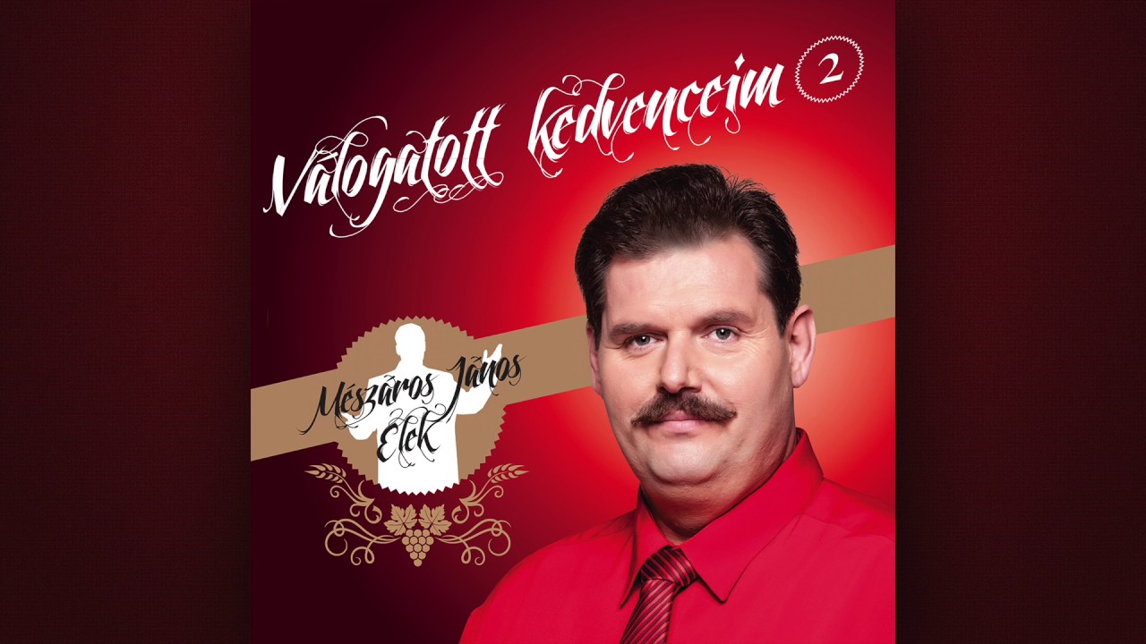 Mészáros János Elek - Félteni kell