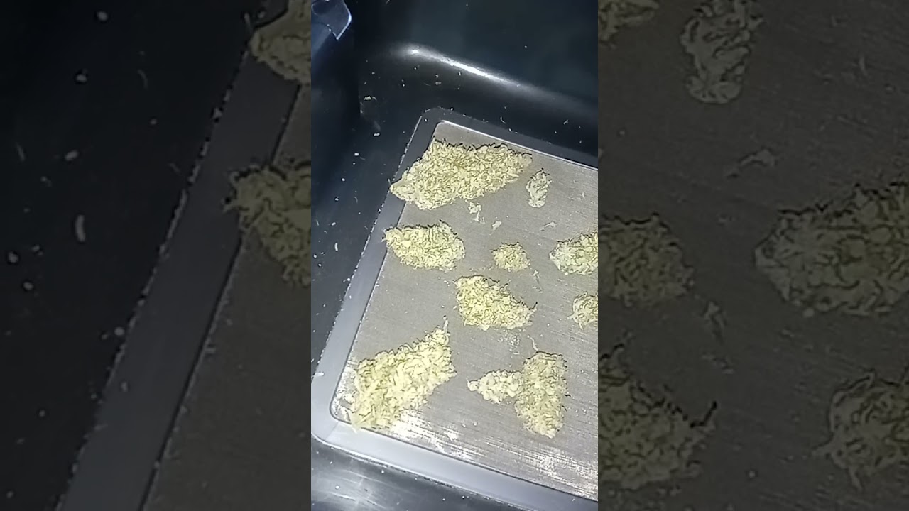 Viparspectra P1500. Short Bubbgum Auto 1oz Harvest.