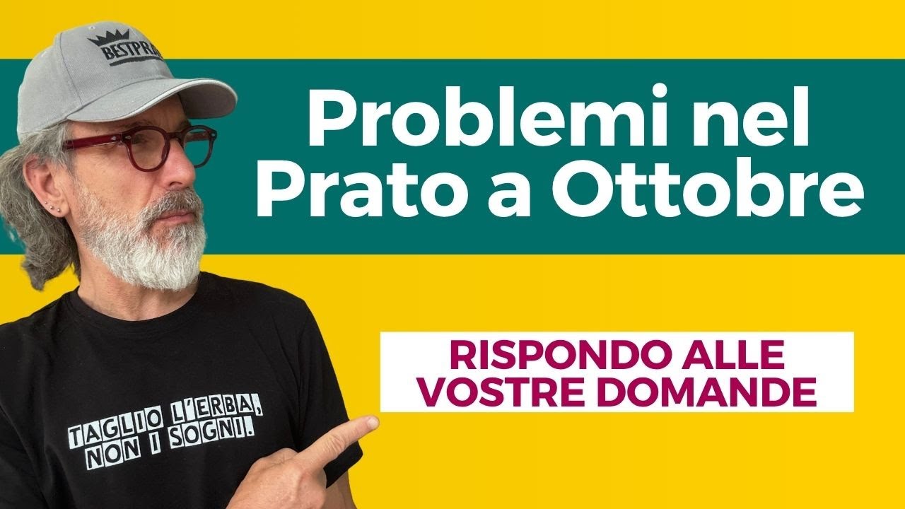 PROBLEMI del Prato a Ottobre? Rispondo alle Vostre Domande! (Edizione 2025)