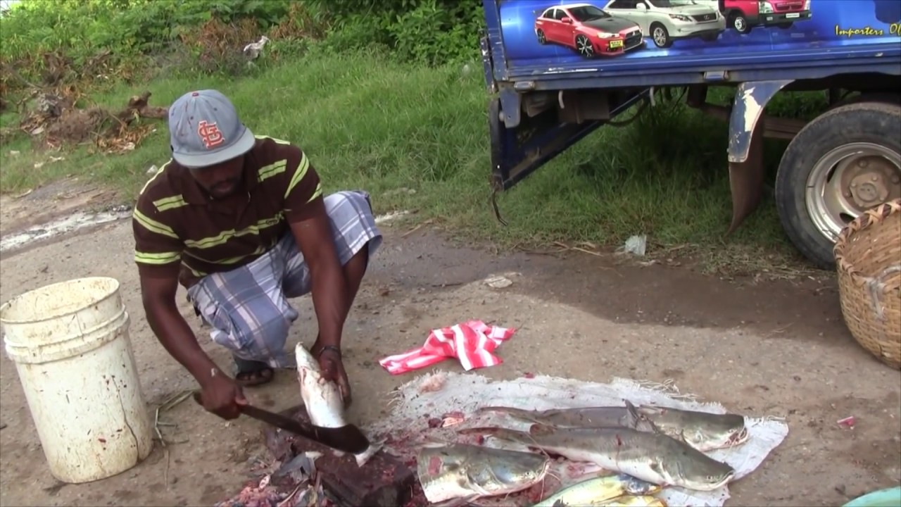 New Leonora Market Video West Coast Demerara