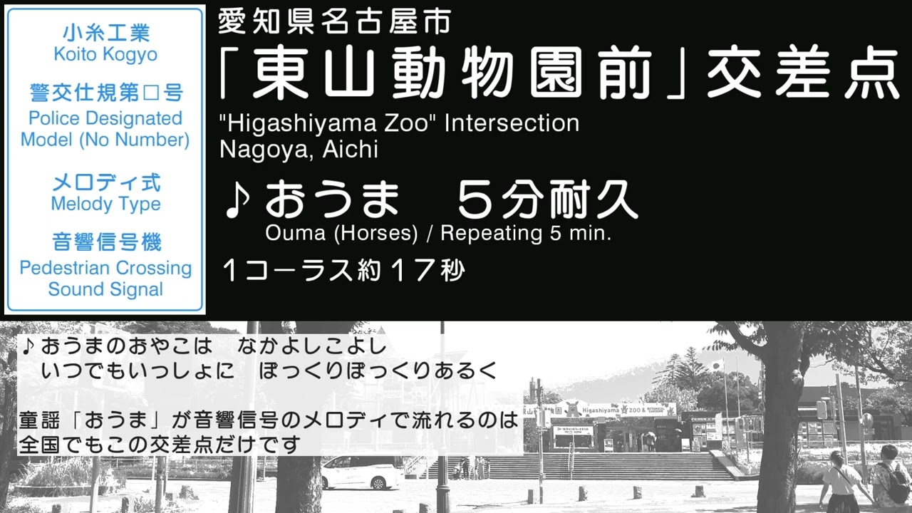 #音響信号　東山動物園前交差点「おうま」　Pedestrian Crossing Sound 