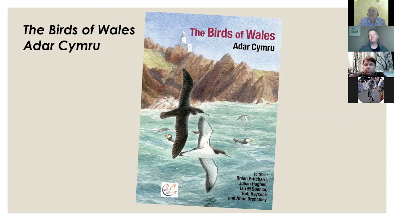 The Birds of Wales/Adar Cymru - The New Book with Julian Hughes