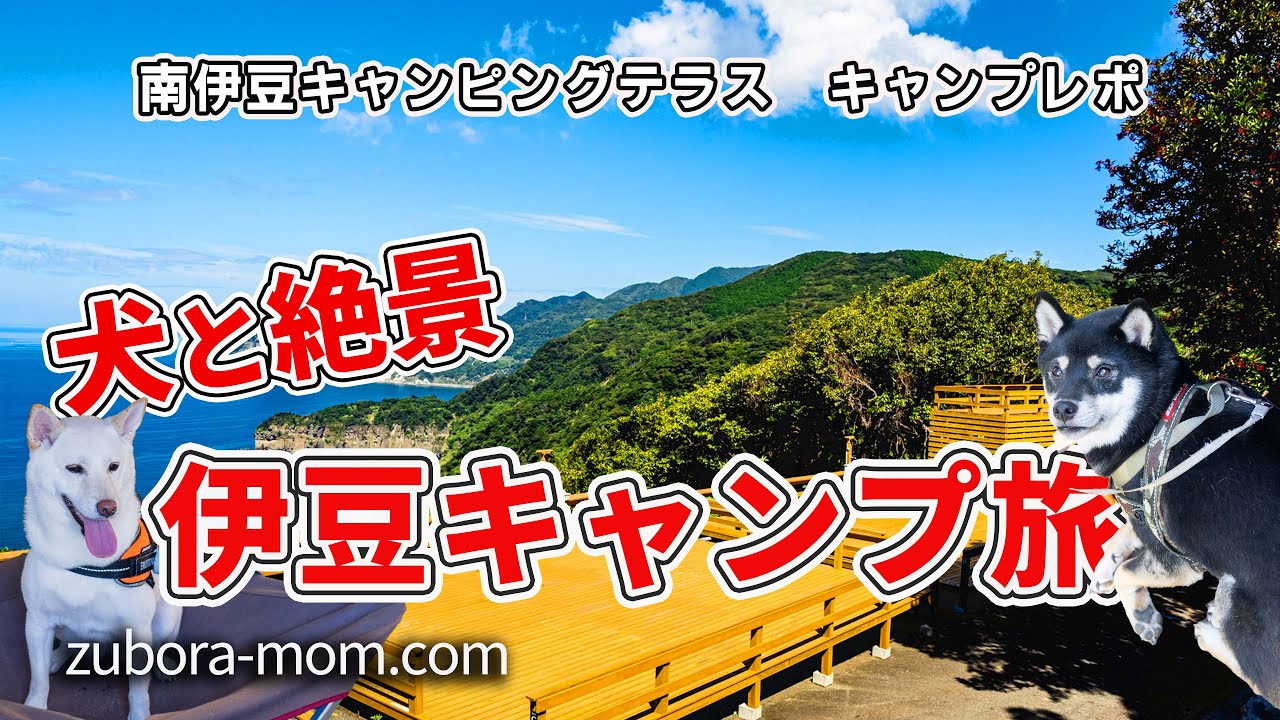 【犬とキャンプ】伊豆満喫ドライブキャンプ【南伊豆キャンピングテラスキャンプ場紹介あり】