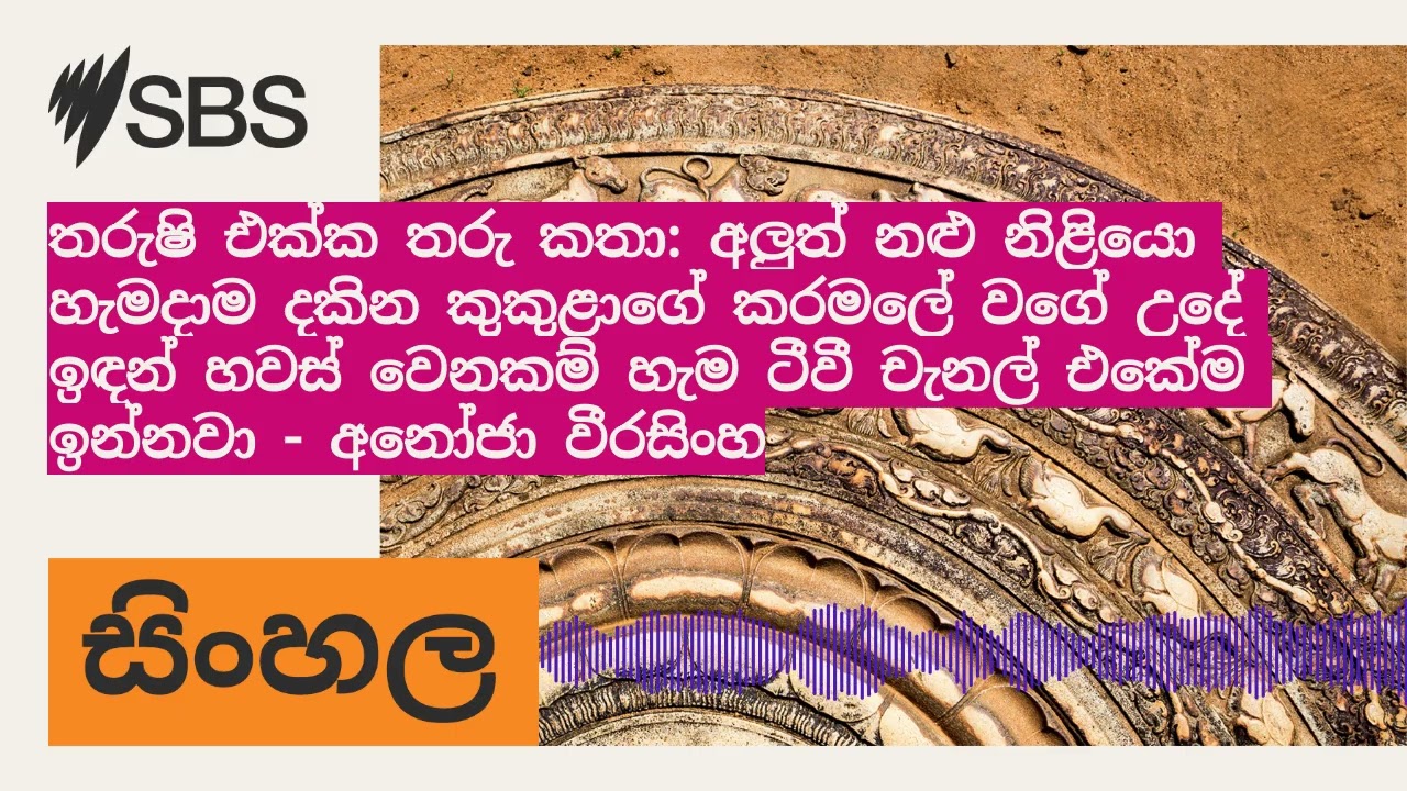 තරුෂි එක්ක තරු කතා: අලුත් නළු නිළියො හැමදාම දකින කුකුළාගේ කරමලේ වගේ උදේ ඉඳන් හවස් වෙනකම් හැම...