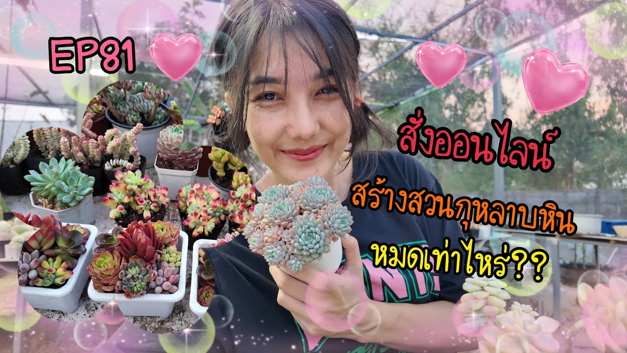 EP81 สร้างสวนกุหลาบหิน สั่งซื้อออนไลน์หมดไปเท่าไหร่?? มาดูกัน