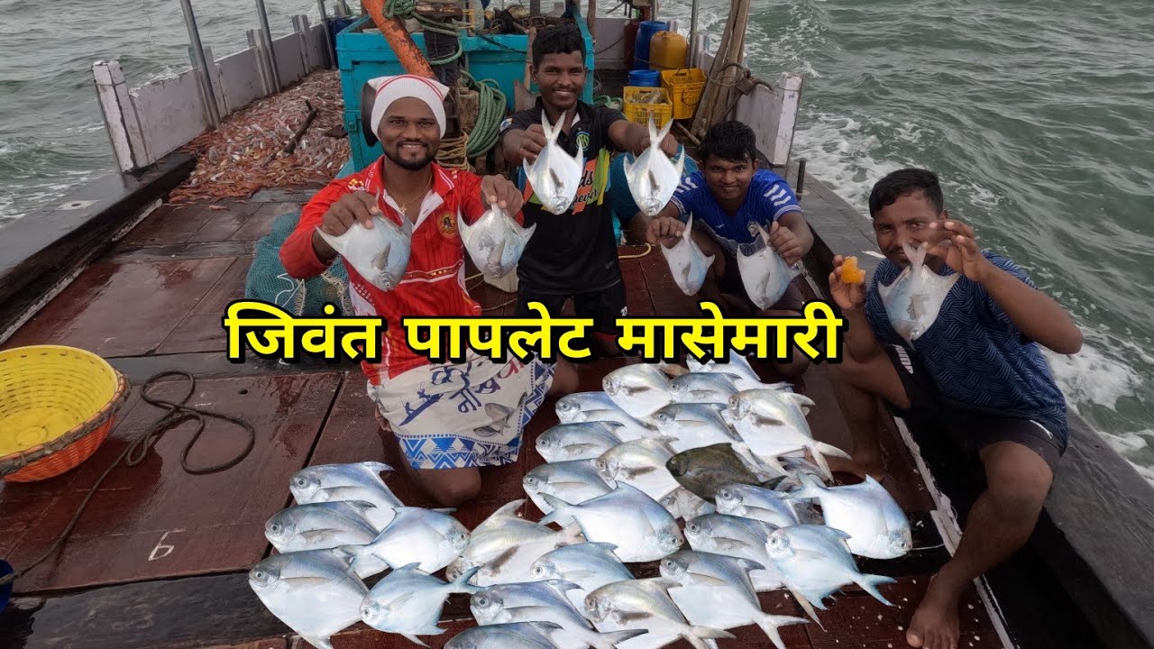 नवीन ठिकाणी केली पापलेट मासेमारी. pomfret fishing in new place. Mumbai India fishing #pomfret #boat