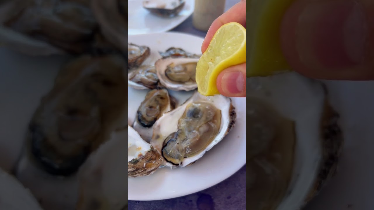 comendo ostras frescas na praia do Coqueiro no Piau&iacute; 🇧🇷