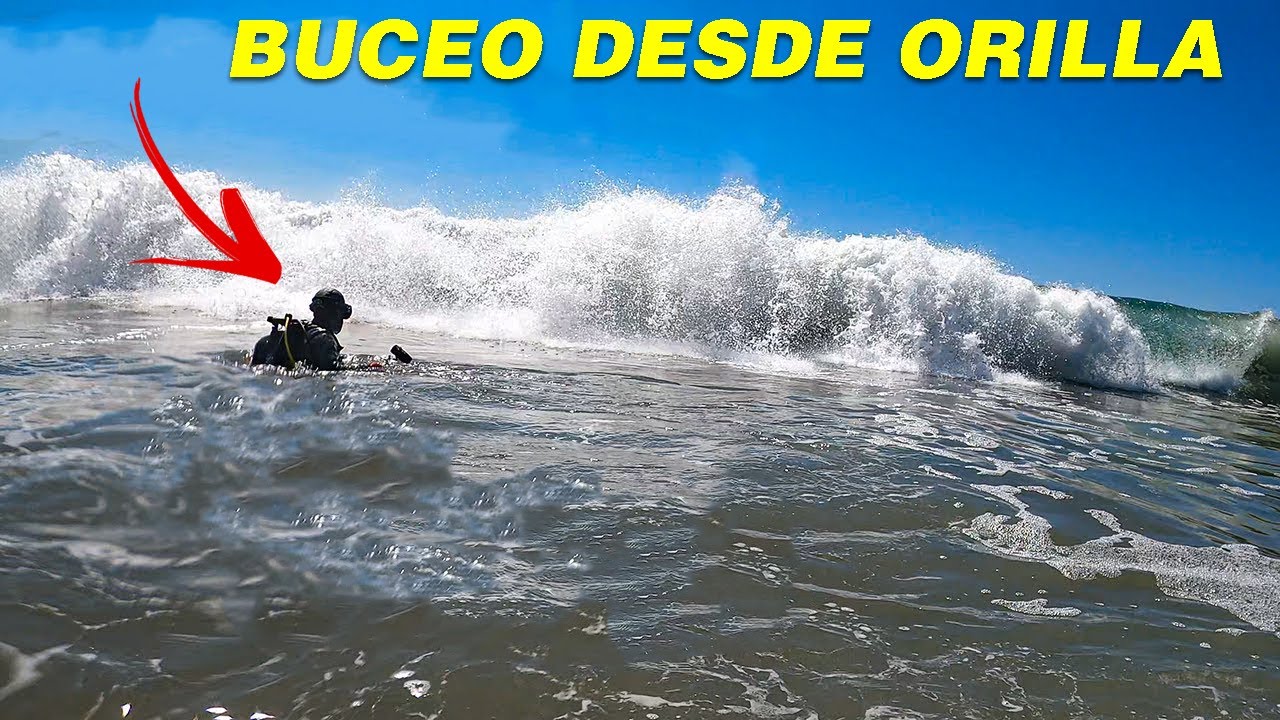 Todo Lo Que Necesitas Saber Sobre el Buceo desde la Orilla