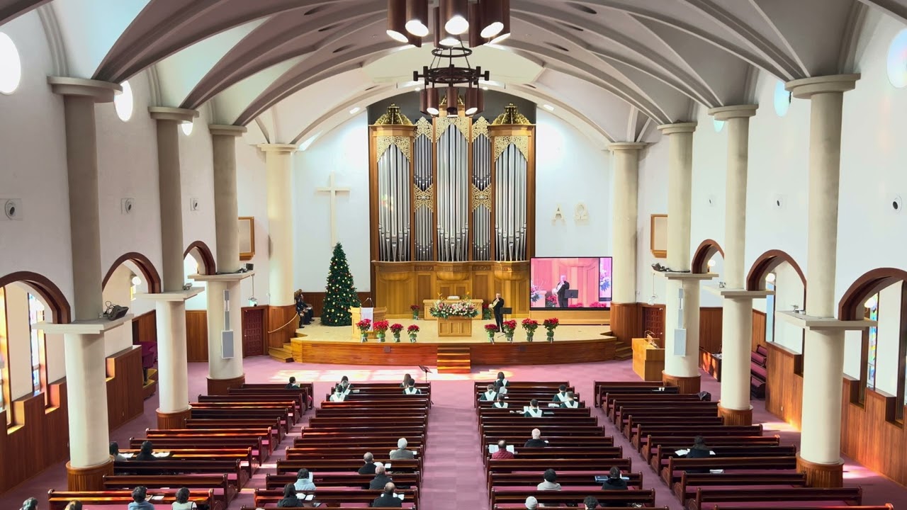 Hail to the Brightness of Zion's Glad Morning (T. Hastings, 시온의 영광이 빛나는 아침), Pipe Organ & Horn