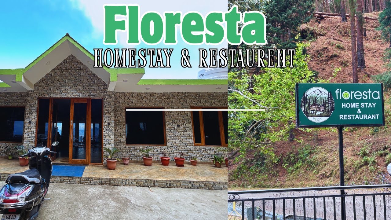 🌲 Floresta Homestay & Restaurant | Hidden Gem in Ranikhet | Himalayan View Stay & Food Review 🌄
