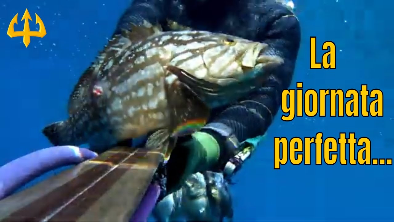 Pesca sub   :  🔱  LA GIORNATA PERFETTA. ( PESCA IN SARDEGNA)