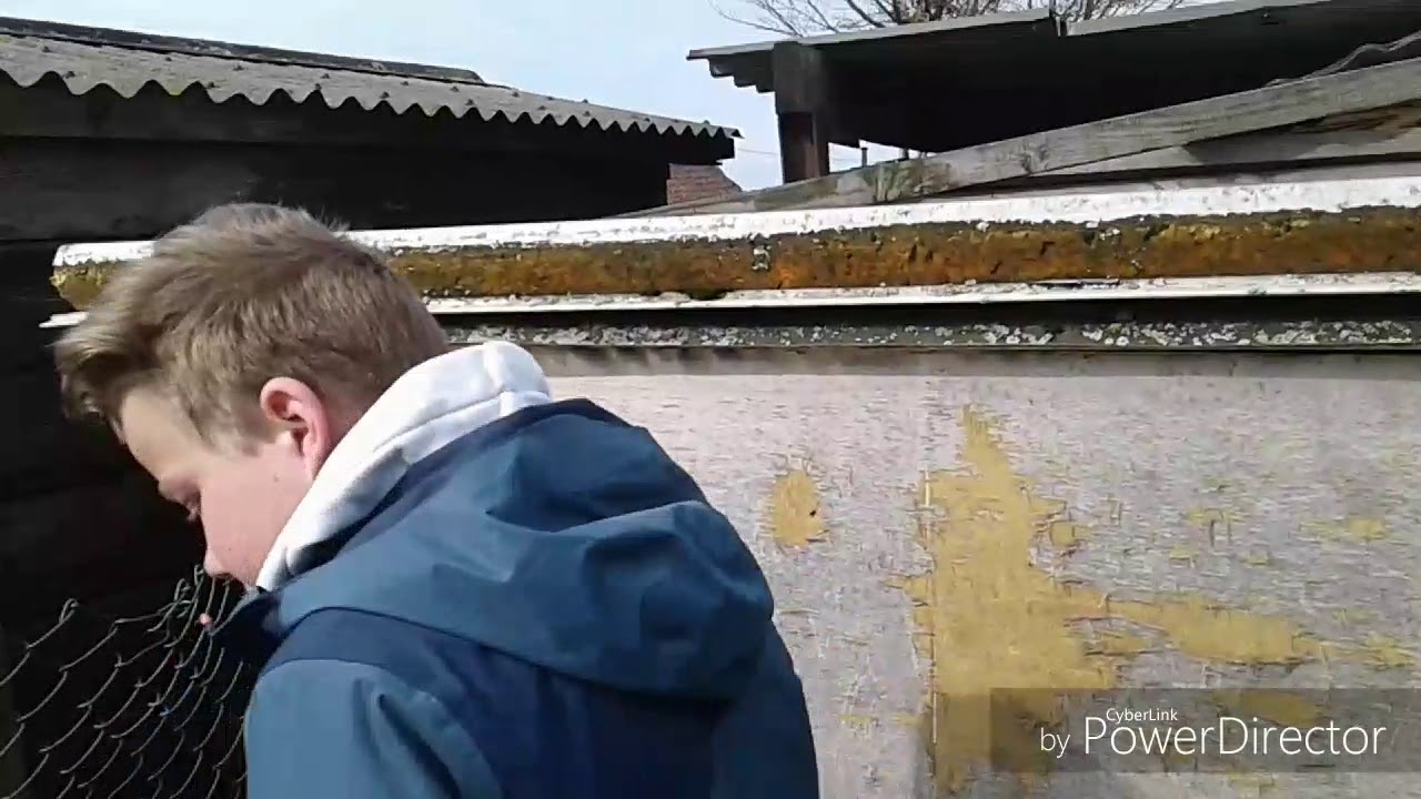 VIDEO broedse kip #soortvanserie [afl.3]