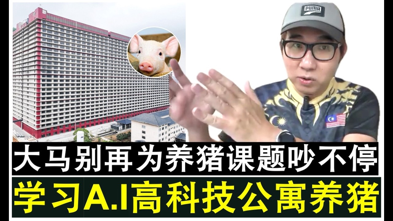 【现实人生】第1172期 大马传统养猪业将被时代彻底淘汰 应学习高科技AI封闭式养猪