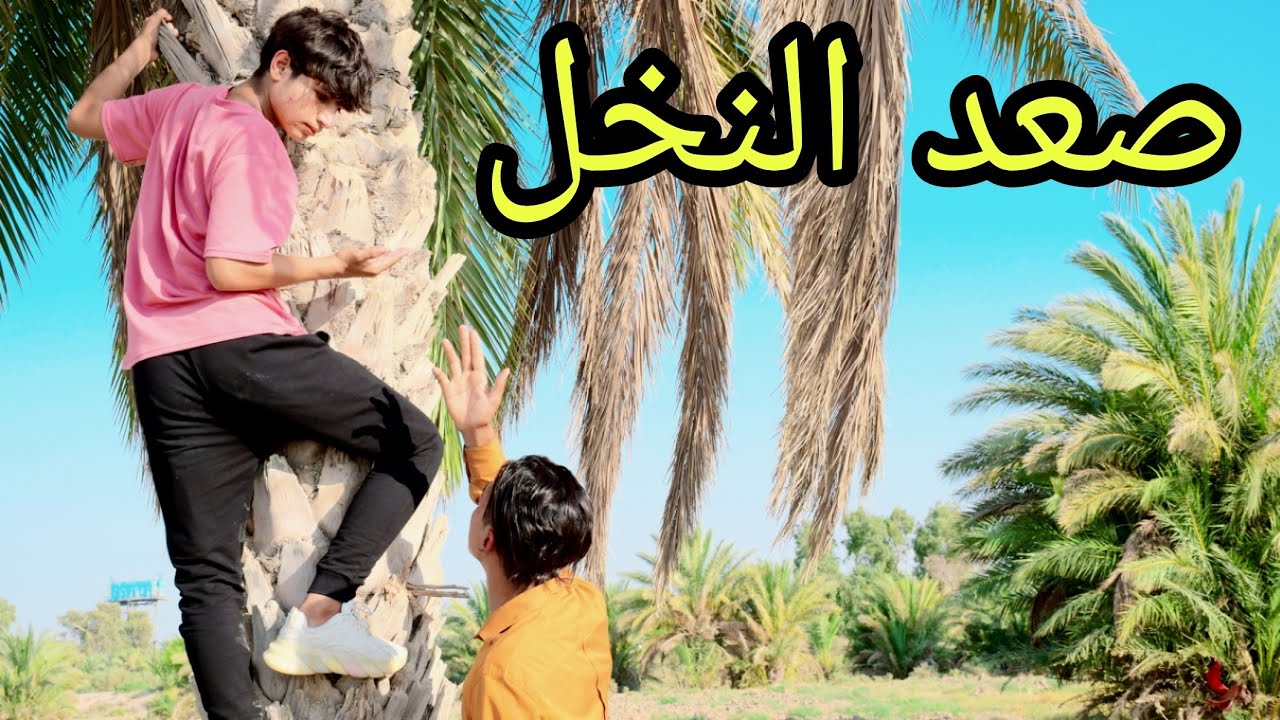 فلم قصير.  الدلال الزائد واقع حال