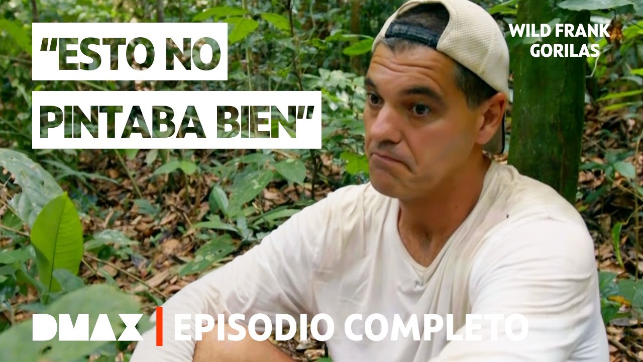 &iexcl;Cara a Cara con una V&iacute;bora Mortal! 🐍 | Episodio 4 Completo | Wild Frank: Gorilas
