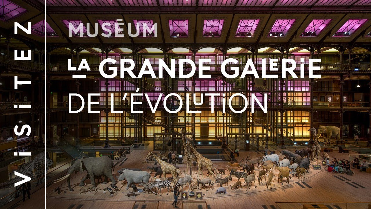 #Culturecheznous en direct du Muséum national d’Histoire naturelle