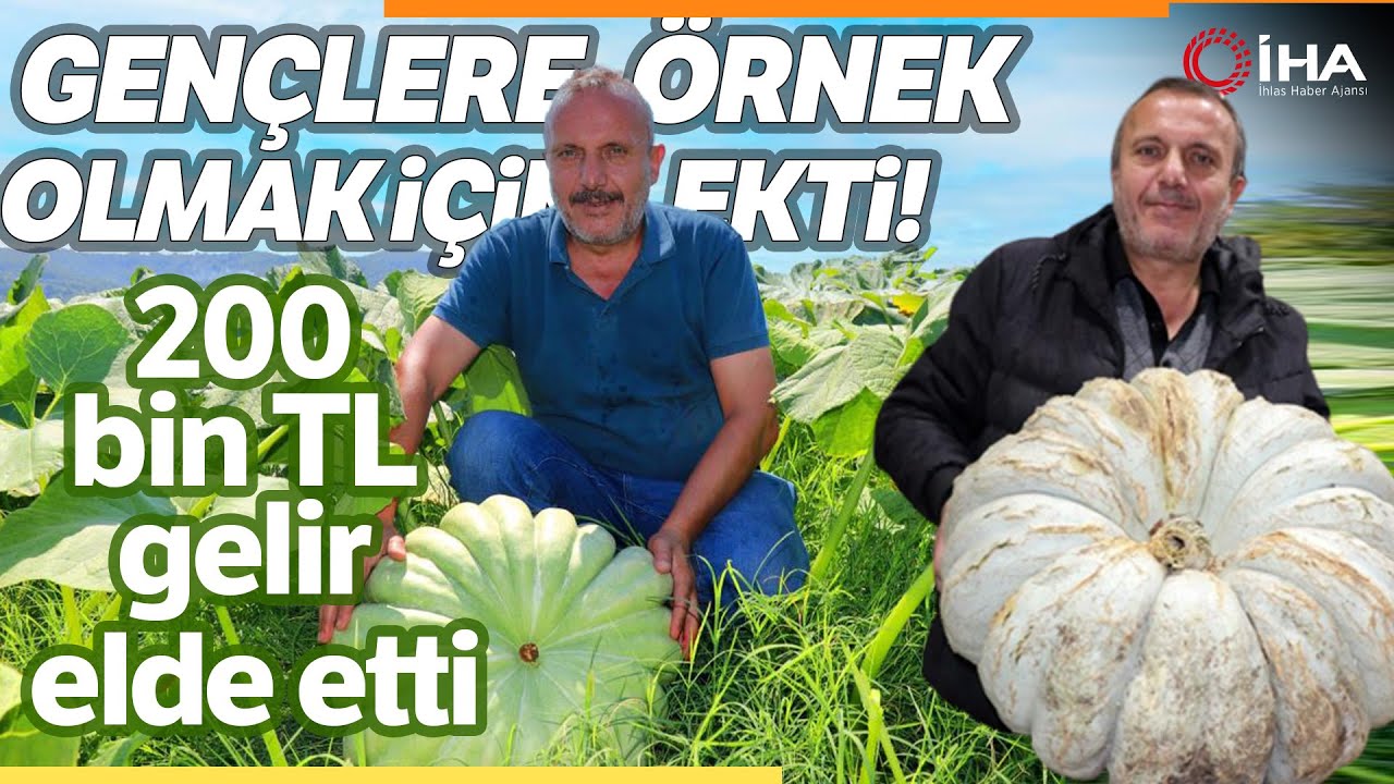 Gençlere Örnek Olmak İçin Kabak Ekti 200 Bin TL Gelir Elde Etti