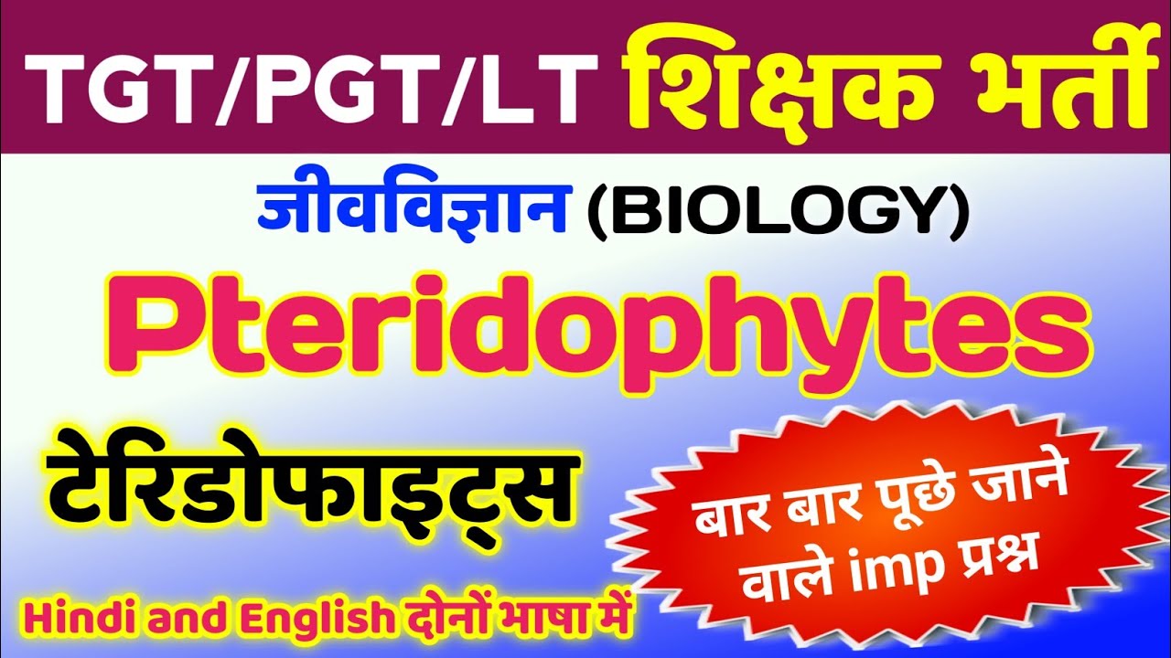 Pteridophytes related TGT PGT MCQ | tgt pgt biology classes | tgt pgt biology practice set | tgt pgt