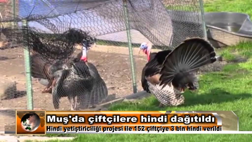 TARIM T&Uuml;RK Haber 03 Ocak 2015