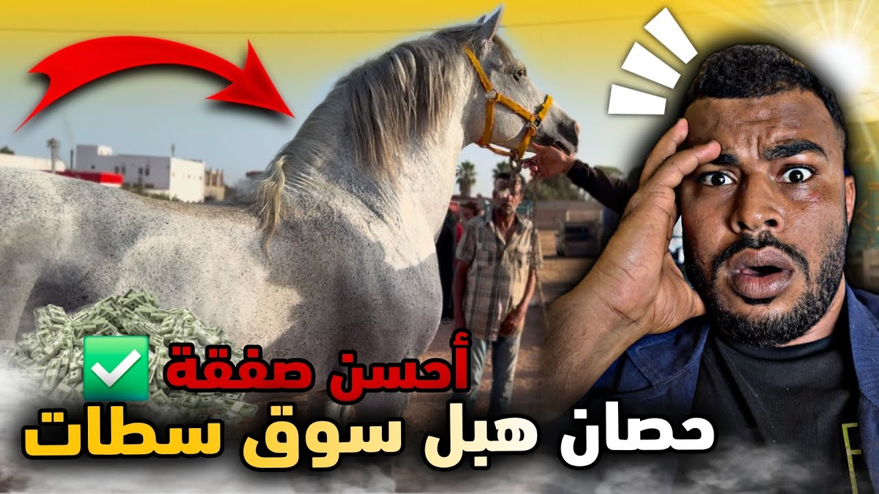 ‼️ بعد غياب طــويل 😢 مشيت لسوق سـطـات ودرت أحسن صفقة 💵 شريت حصان مليح وبعتوا لعشاق فلبلاصة ✅…