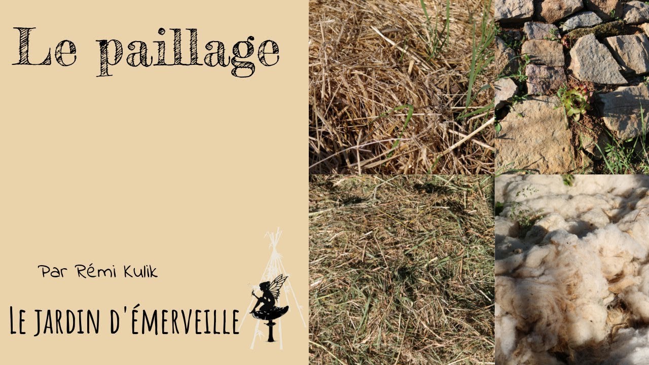 Tout sur le paillage !