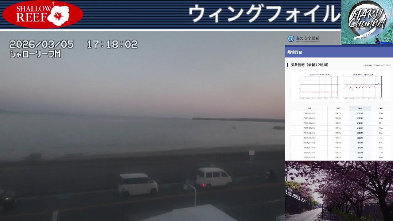 【🔴ライブカメラ配信】津久井浜海岸 三浦海岸 風情報 Yokosuka-Miura Beach Live 2026/3/5 強風注意報 【波音BGM】