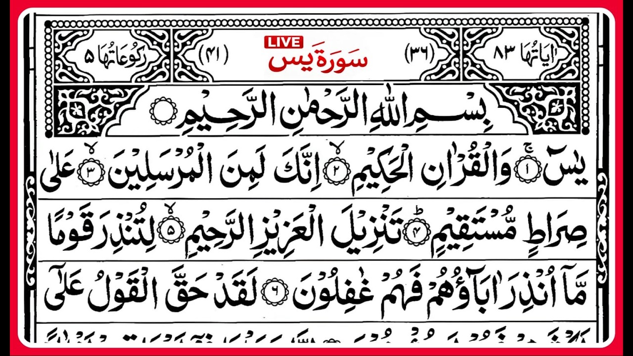 live Surah Yaseen | Surah Rahman | Daily Quran tilawat Surah Mulk Full I beautiful recitation