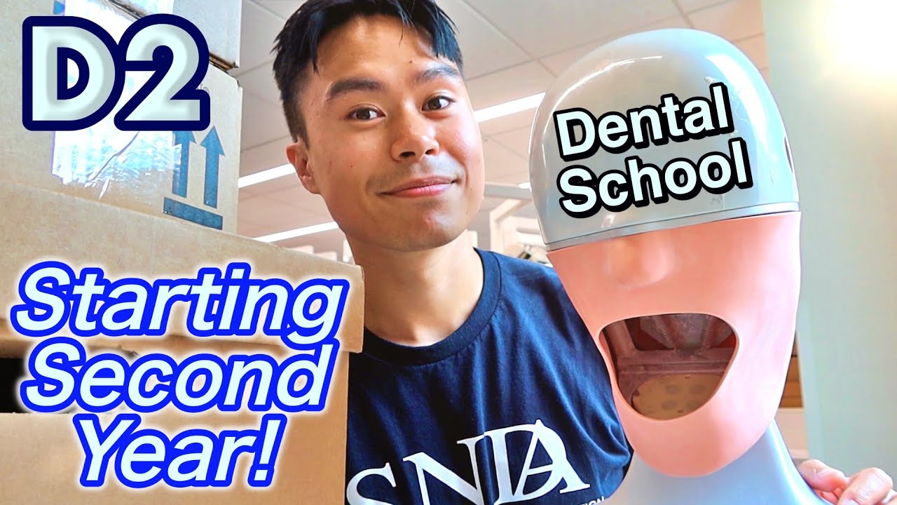 Starting My Second Year of Dental School!
