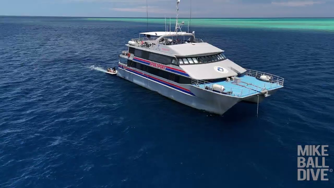 Far North Coral Sea Exploratory | Australia’s Ultimate Liveaboard Dive Adventure 23-30 December 2025