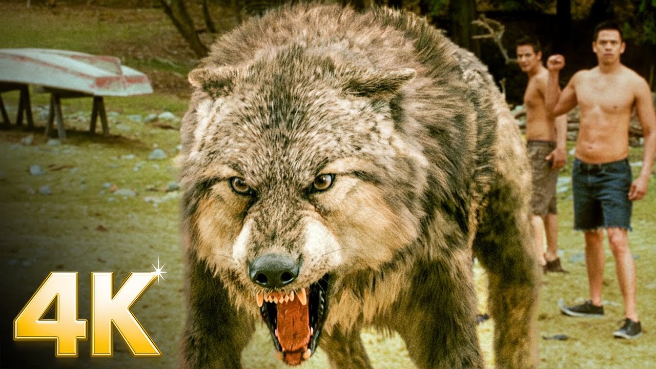 The Truth About Jacob’s Tribe | Twilight: New Moon | CLIP ⚡ 4K