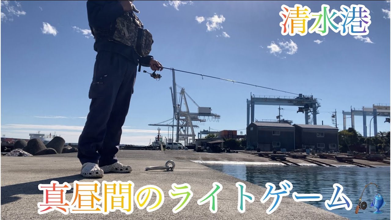 【ライトゲーム】難しい真っ昼間に💦熟成アクアで清水港ライトゲーム🎣