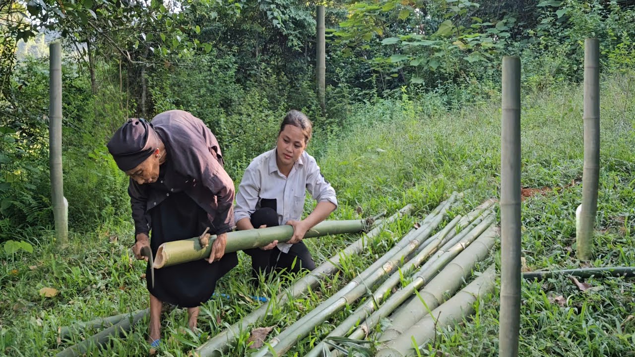 The journey of building a bamboo house of a poor old woman and a homeless girl.