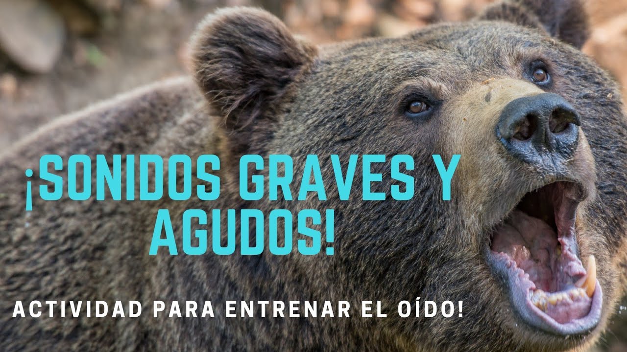 ¿Cuáles son los sonidos graves y agudos? ¡A entrenar el oído!