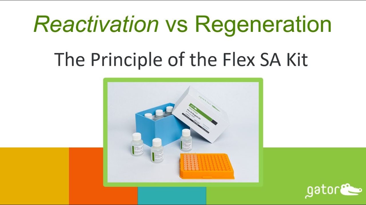 Principle of Gator Bio's Flex SA Reactivable BLI Streptavidin Probe