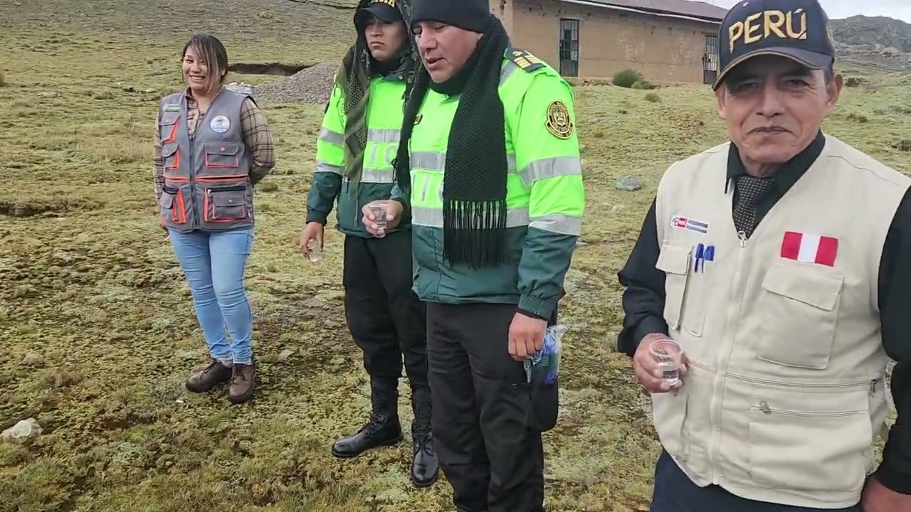 Sembrado de 8000 alevinos de trucha en Huay Huay