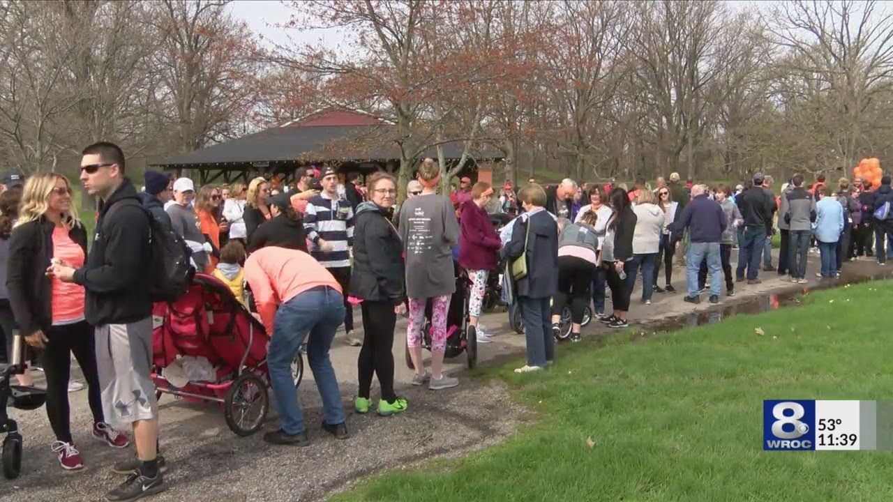 Hundreds walk to fight multiple sclerosis