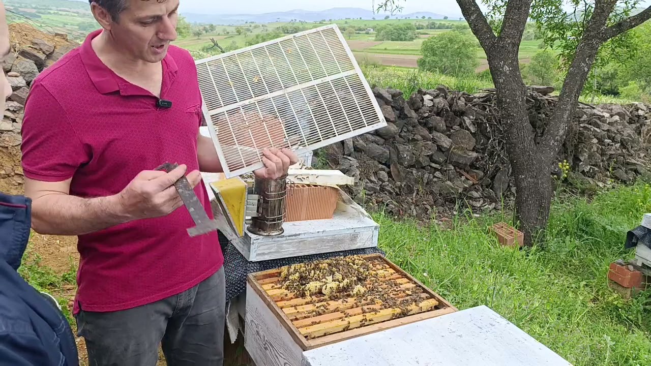 Modern Arıcılık: Arımıza kat mı Atmalıyız veya Bölmelimiyiz ve Arı Teslimleri !!!