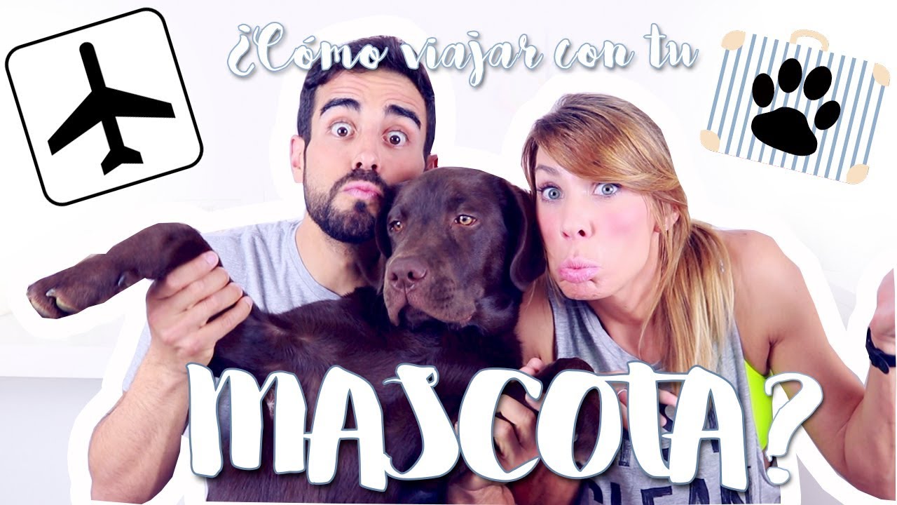 &iquest;C&oacute;mo y a d&oacute;nde viajar con tu mascota? - Tips to travel with your pet | 2 Be FIT Jorge y Marta