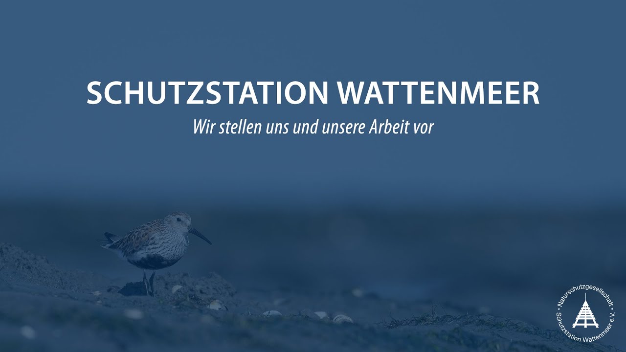 Schutzstation Wattenmeer: Wir stellen uns und unsere Arbeit vor