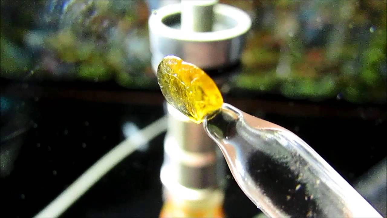 [HD] Dabbing on some Pineapple Kush Shatter!