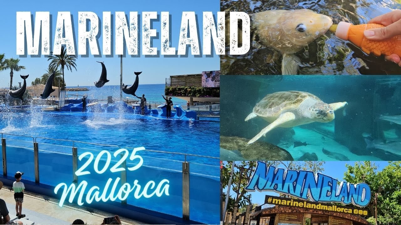 Marineland Mallorca 2025  - Das einzige Delfinarium der Insel - Delfine, Robben, Vogelshow ZOO #Tag2