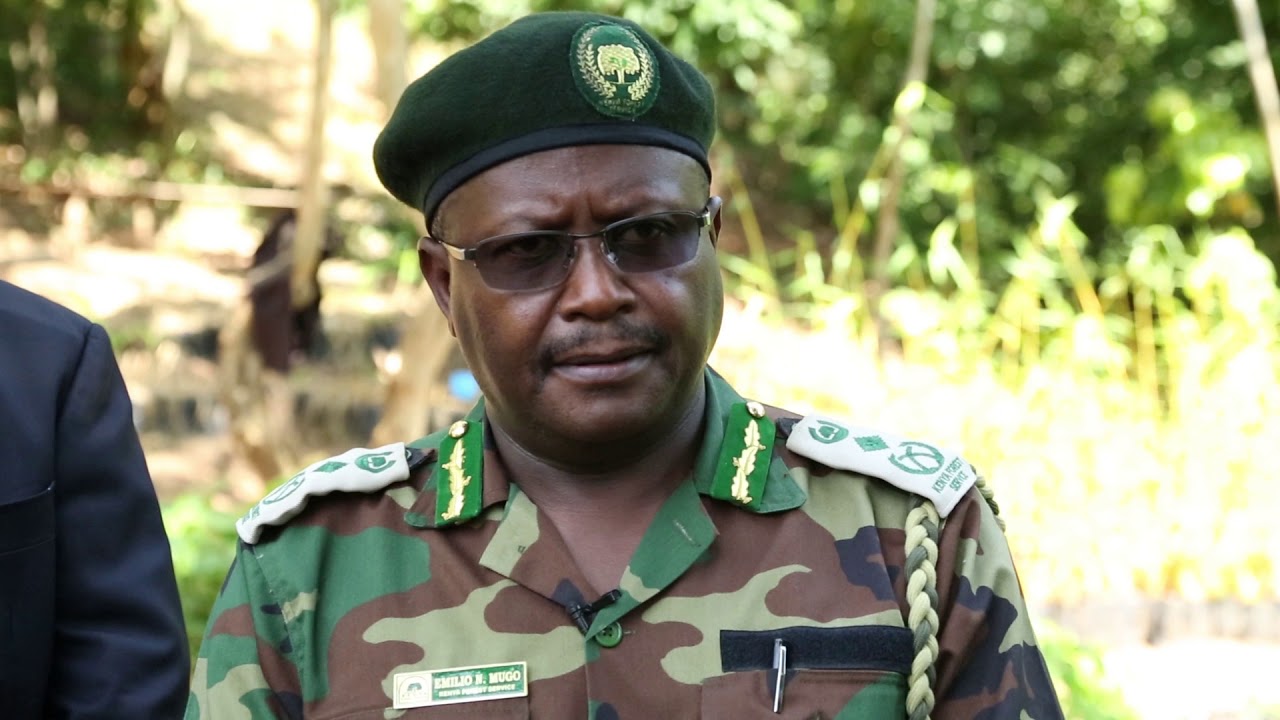 Afforestation of Upper River Tana and Sondu Miriu River Catchments