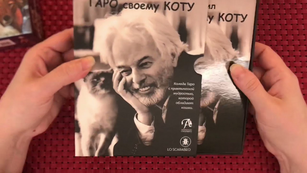 Распаковка «Котопёс»: НОВИНКА “Как Ходоровски объяснил Таро своему коту”, а нас развёл на деньги…