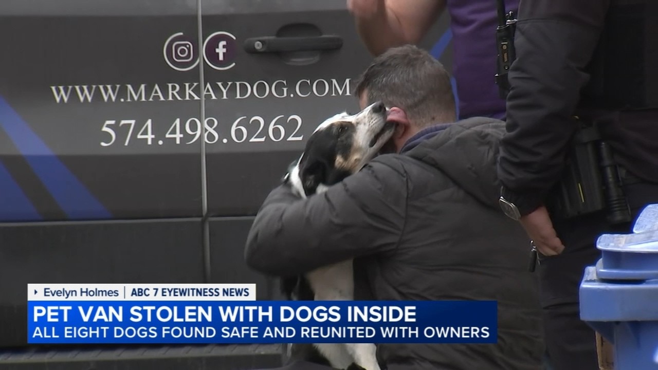 Stolen dogs reunited with owners after grooming van stolen in Chicago